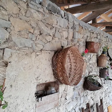Art Eco Land