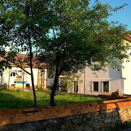 Art Eco Land Guest house *